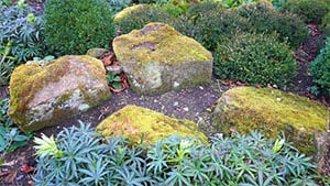 Takeoff Monkey blog hardscape sample image: statement rocks and small shrubs